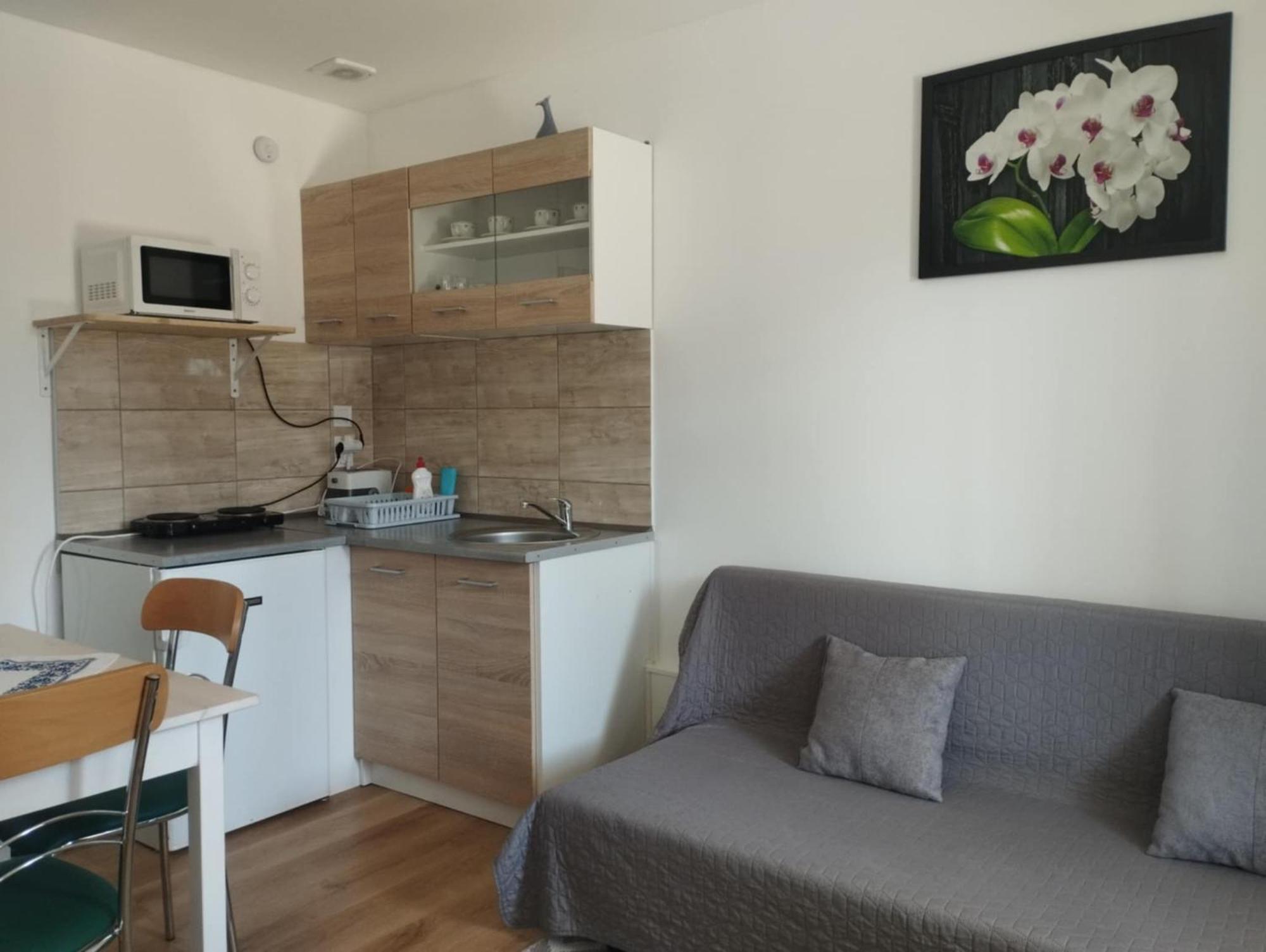 Apartment Viola *